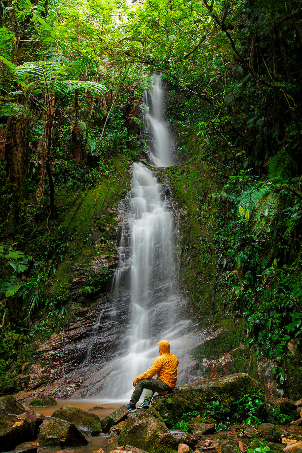AMAZON RAINFOREST 006